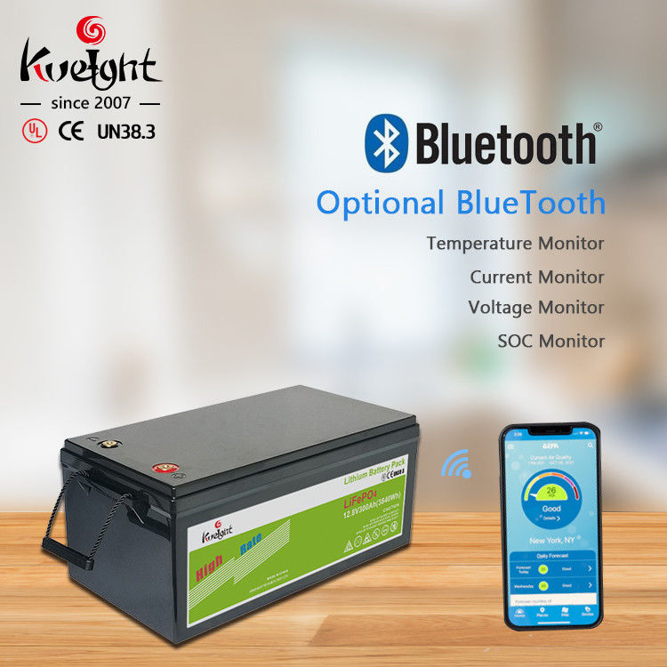 Pv সিস্টেমের জন্য 12.8v 300ah লিথিয়াম আয়ন ব্যাটারি Lifepo4 ব্যাটারি ট্রাভেল ক্যারাভান